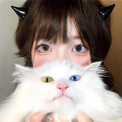 猎鹰计划